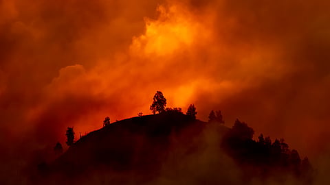 January 2026 fifth warmest on record despite cold snap in Europe, North America