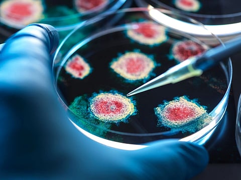 Civil society, scientists raise alarm over safety gaps in WHO pandemic pact