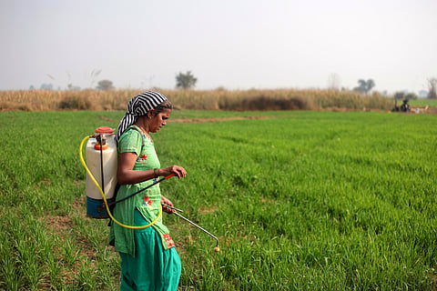 Regulating biopesticides: Mandate surveillance, time-limited approvals, safeguards against industry capture