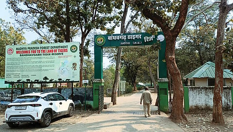 Bandhavgarh National Park in Madhya Pradesh has the country’s largest tiger population and sits adjacent to coal deposits