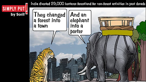 Simply Put: The forest and the elephant