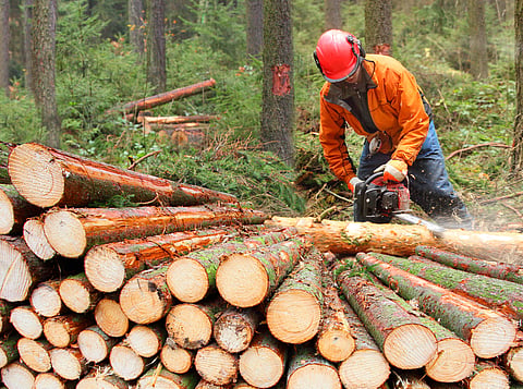 Does the new EIA amendment proposal fix institutional delays or bypass environmental scrutiny? 