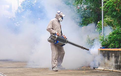 Dengue fever is a growing problem: why it’s so hard to beat with vaccines