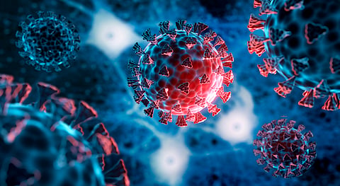 COVID‑19 variant BA.3.2 is spreading quickly across US — a doctor explains what you need to know
