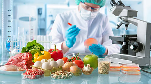 Decoding sovereignty: The Global South’s strategic stand over the ‘source code’ of future food