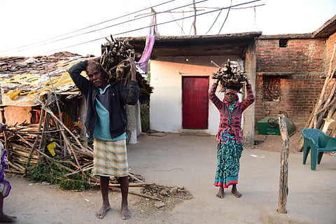 Between forest and flame: Why rural India still cooks on firewood despite LPG access
