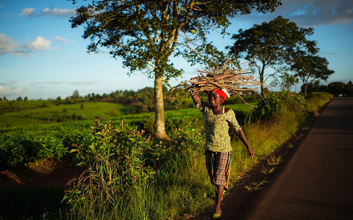 Africa’s energy transition gathers pace but remains uneven, with renewables leading fragile gains toward universal access
