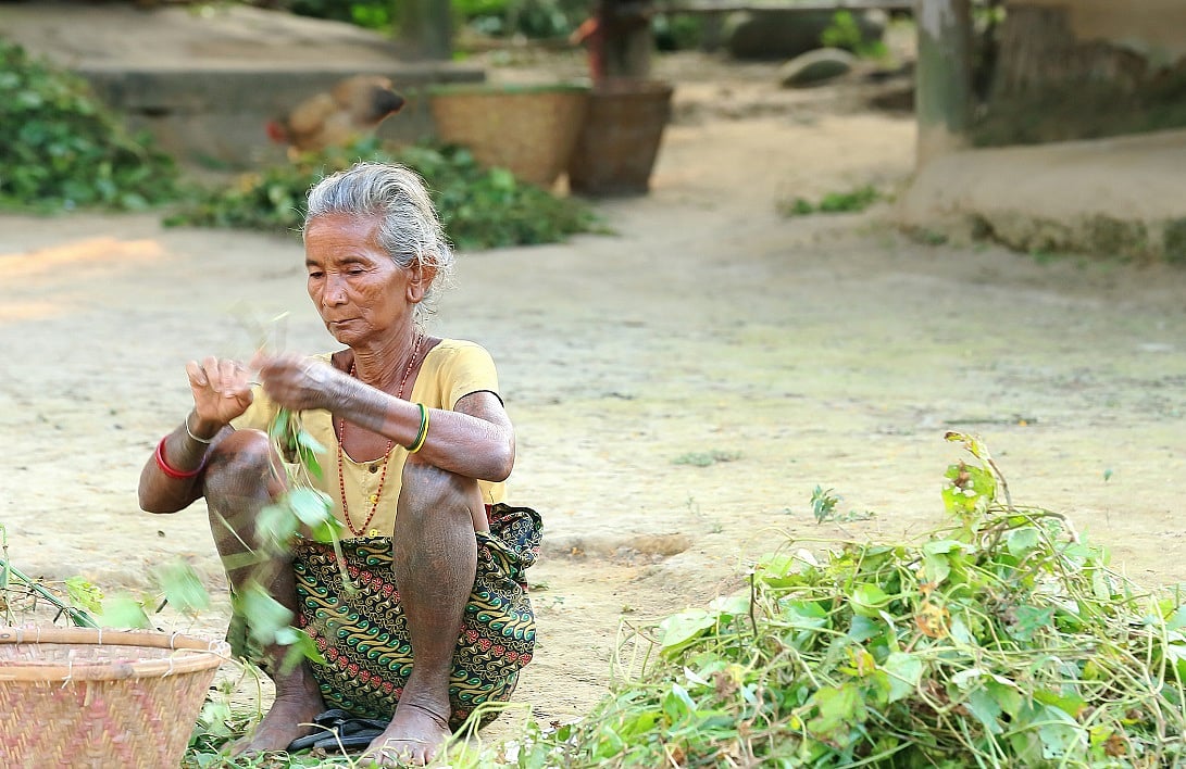 Allahabad High Court Upholds Tharu Commu...