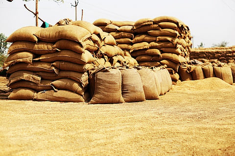 Most Rabi crops being sold at prices lower than the minimum support price
