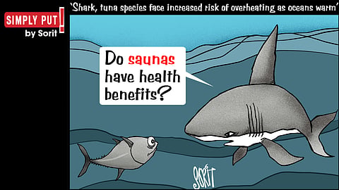 Simply Put: Shark and tuna sauna