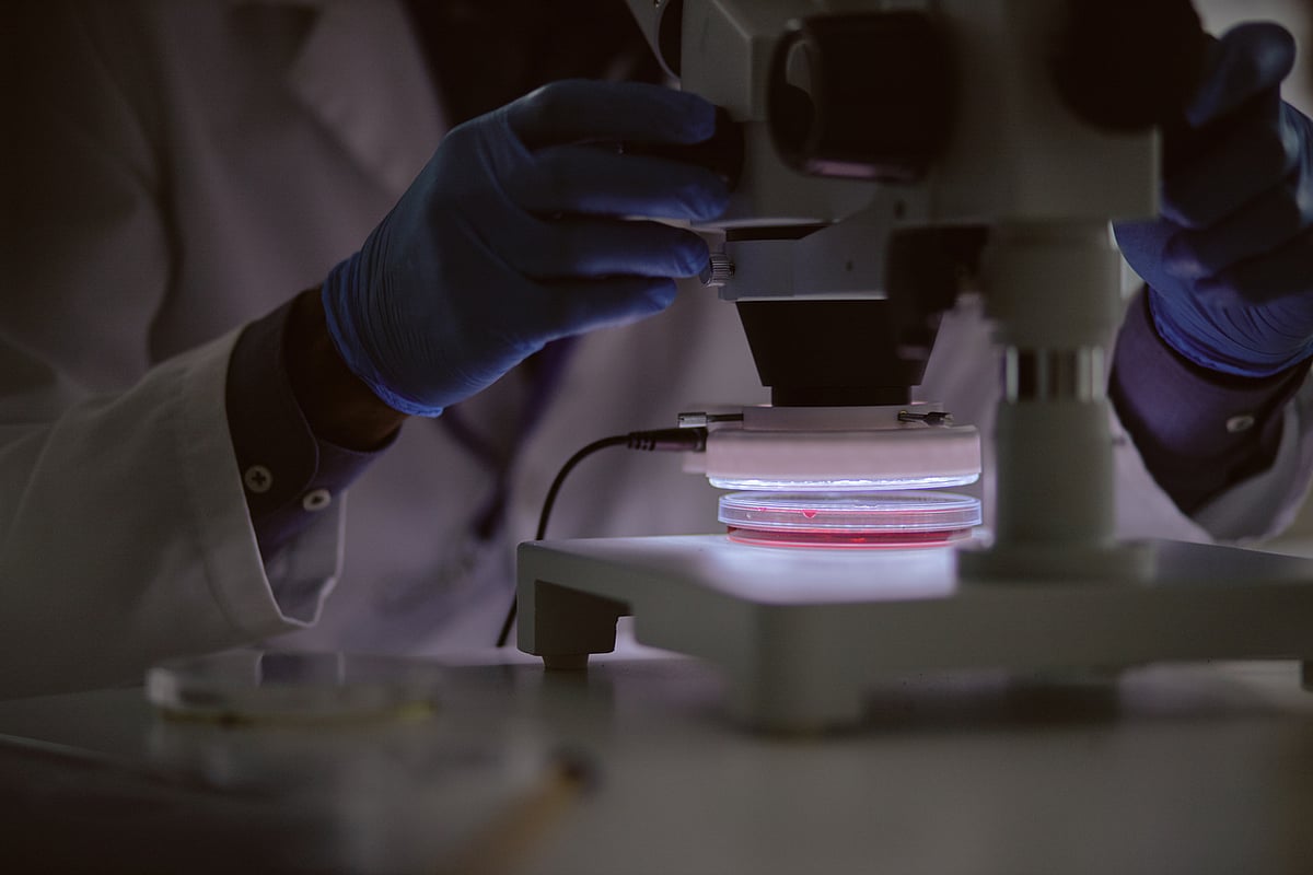 <p><strong>Why Africa’s Disease Burden Is Ignored in Global Clinical Trials</strong></p> - News Directory 3