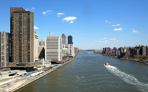 Scientists use eDNA method to reveal information about New York City’s human diets, wildlife and ecology