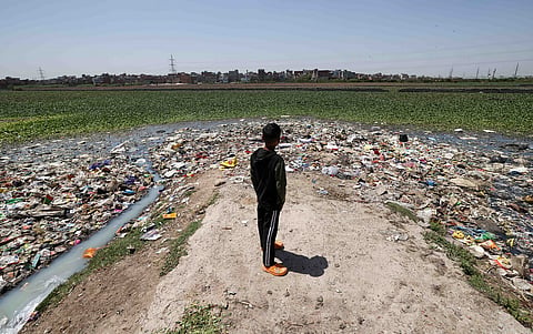 A ‘wetland’ in Delhi with a difference