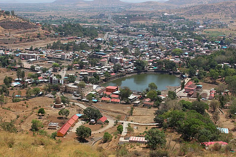 Beyond numbers: Rethinking mass tree plantation for a greener Maharashtra 