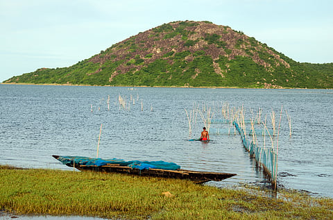 Freshwater native fish of Odisha: Diversity, threats and conservation