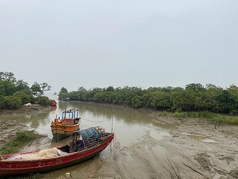 Plastic in Paradise: Researchers discover microplastics in Odisha’s Bhitarkanika