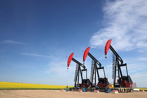 Three pumpjacks in Alberta in a bright yellow canola field.