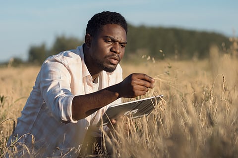 Agricultural research: Africa got 8% of global expenditure