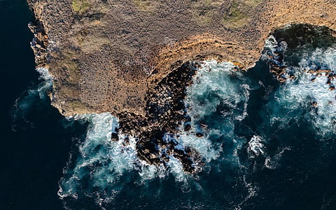 New monitoring system provides ‘scalable approach’ to island conservation in Ecuador’s Galapagos archipelago