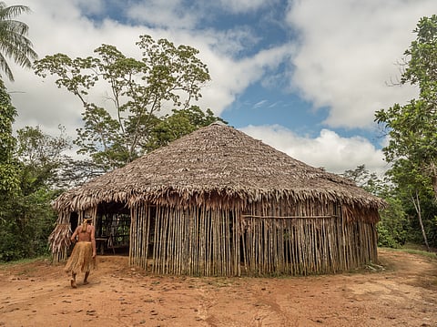 Largest population of isolated communities in Amazon under imminent threat