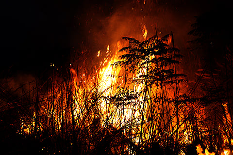 Record wildfires burn through over 150 million hectares globally in 2026 as scientists warn El Niño could worsen crisis