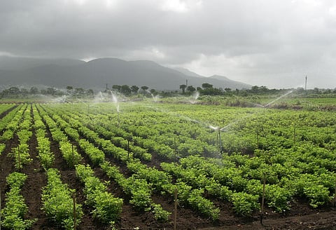 A monsoon shield for every farmer: Why protective irrigation must become the centrepiece of India’s water strategy