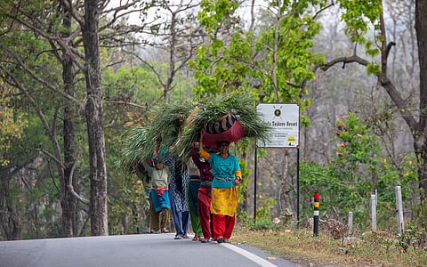 Uttarakhand’s van panchayats survived the British. They may not survive a state steadily governing communities out of their own forests