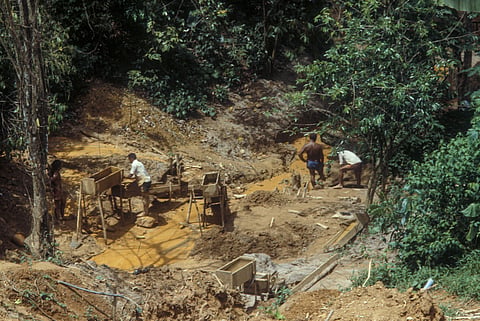 Illegal gold mining causes surges in malaria in the Amazon, and the association is far worse than we suspected