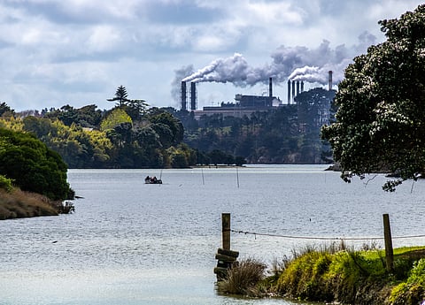 New Zealand moves to protect companies from private climate lawsuits