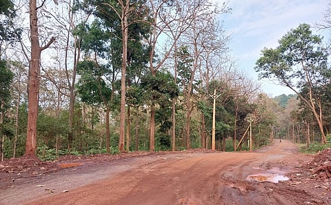 As anti-Maoist operations in Chhattisgarh intensified, so did the backlog of pending FRA claims, analysis shows