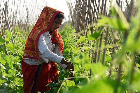 SEHAT mission to push for sustainable food systems to improve public health
