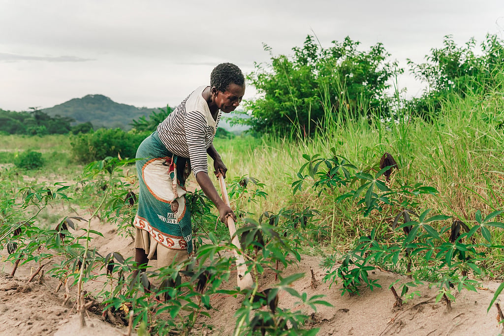 Women farmers