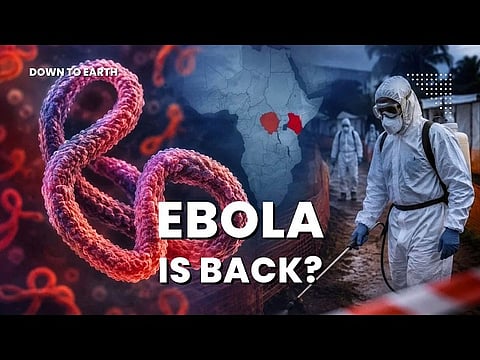 No vaccine, rising cases: New ebola outbreak explained