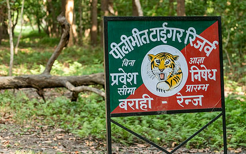 Conflict in the backyard: Reclassify wild habitats