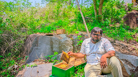 World Bee Day 2026: How Odisha farmer Manas Ranjan Jena built a thriving apiary