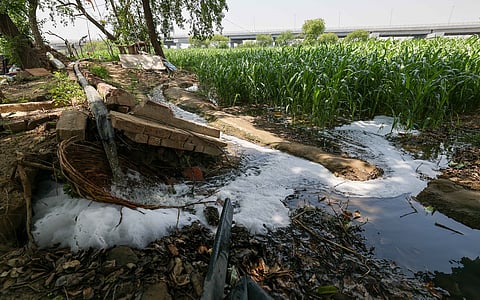 For farmers in rural Delhi struggling with rising input costs and declining water, wastewater dependence is a no-brainer despite health risks involved