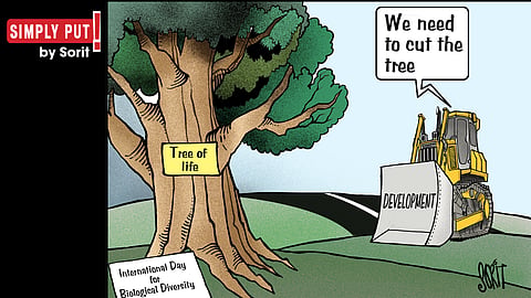Simply Put: International Day of Biological Diversity 2026
