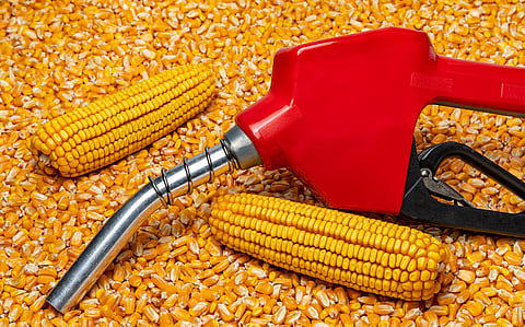 India’s maize-led ethanol story shows how quickly policy can move markets; but course correction is needed