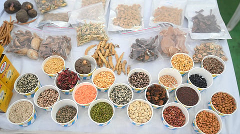 Indigenous seeds showcased at Vidarbha Beej Samvardhan Samvad.