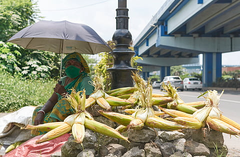 Can parametric insurance really put a price on extreme heat — and protect India’s informal workers from its growing economic toll?
