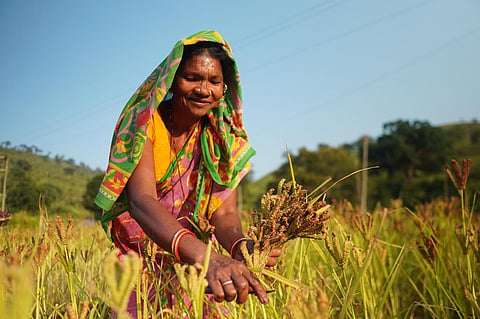 International Biological Diversity Day 2026: How Odisha’s tribal seed keepers are rebuilding biodiversity for a warmer future
