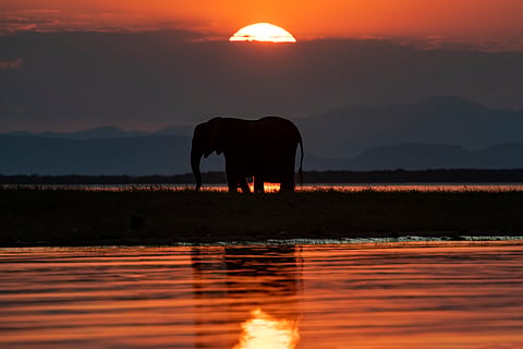 Lake Kariba’s levels are slowly rising after years of drought. 