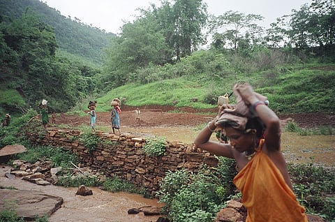 Adivasi campaigners seek dissolution of FRA task forces, alleging institutional bypass and parallel governance