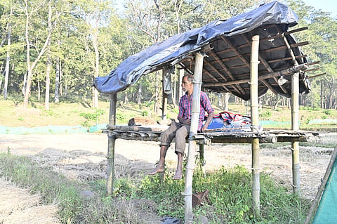 Conflict in the backyard: Is ‘Fortress Conservation’ at the root of Kerala’s human-wildlife clashes?