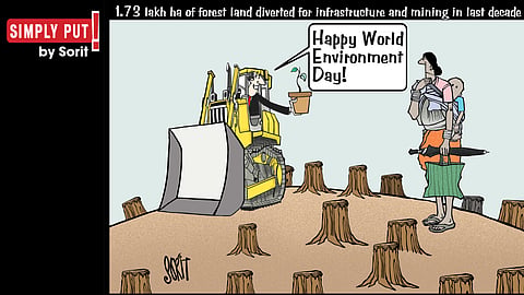 Simply Put: Forest vs ‘development’