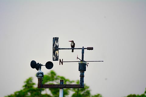 India’s framework on weather data collection & sharing needs focus: Experts highlight key issues  