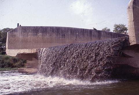 New rule requires fish survival test for caustic soda industry wastewater