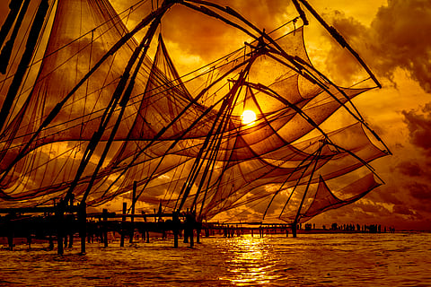 Marine heatwaves are rewriting India's bluefood systems. It is time fisheries governance did too