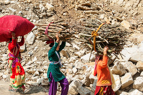 Degendering India’s green transition