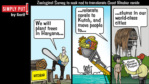 Simply Put: Great Nicobar solutions